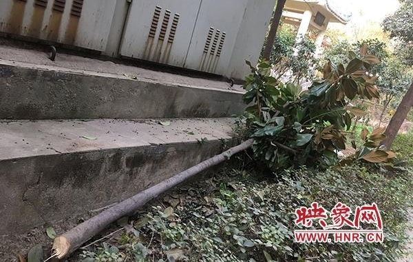 ֣ݣС̻ҵ＂?＂ ＂＂ŵһԭز