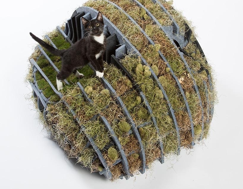 洛杉矶顶尖建筑师为流浪猫打造时髦户外猫屋