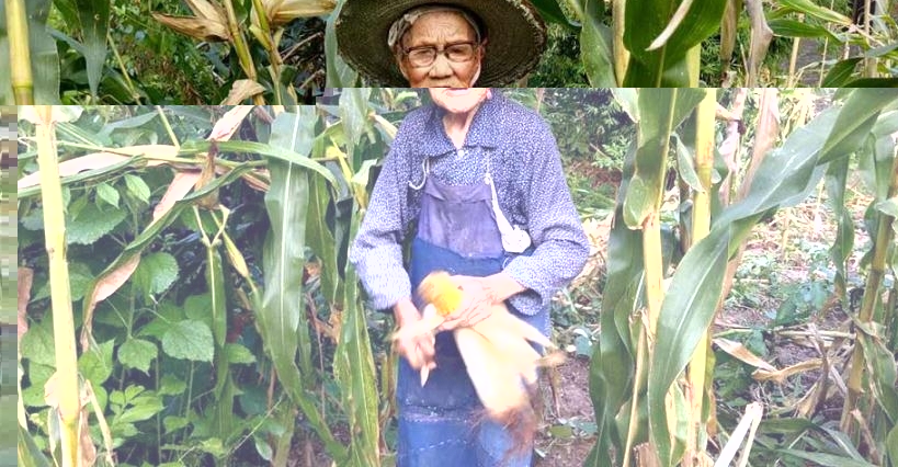 104����̫����Ŀ��θ�ں������µظɻĿ���ǻ�����꣡