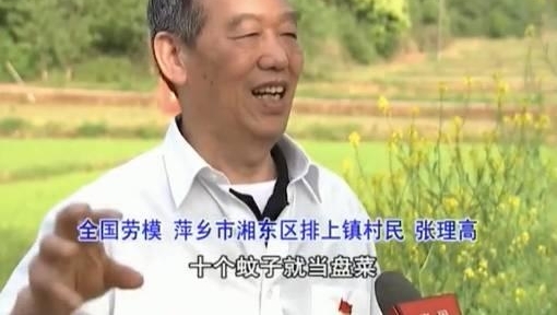 Ƽ�翿С���ˢ�����ġ�ֲ��ΰ�硱-���
