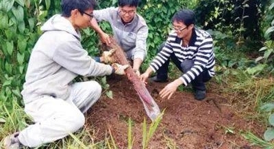 �����조���š������־�Ʒˮ�� ���������¸�