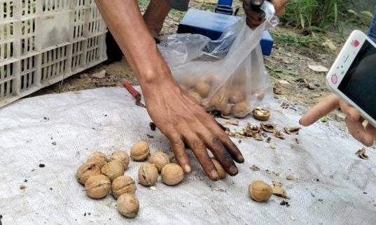 ���´�ү�������ˣ�����������һ�ˣ�˸�С����˲������