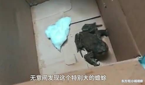 ��ѧ�����ݣ�����ֻ��󡣬���ң������ܾ��ˡ�
