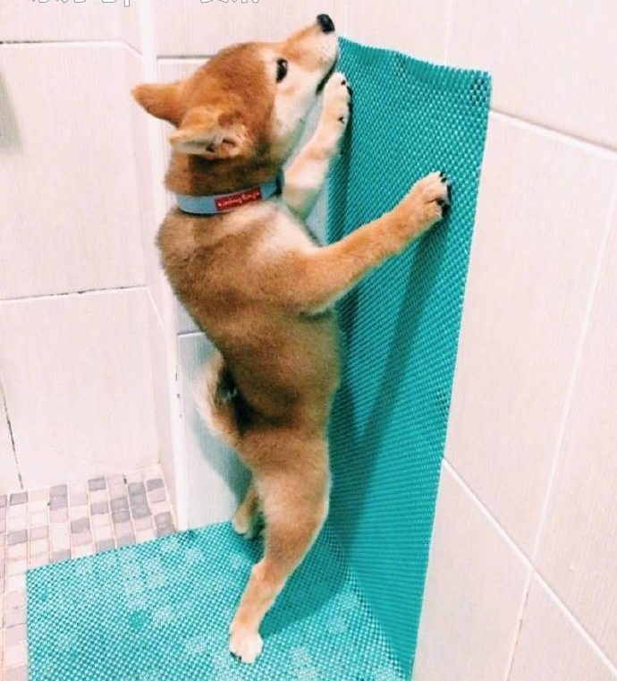���棬�������û�ˣ���̫̫������60��ֽ�������