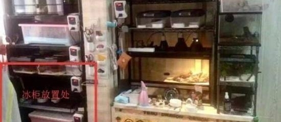 ��ʬ���ӷ�����ɱ��ԭ�� ������������֤���˿���