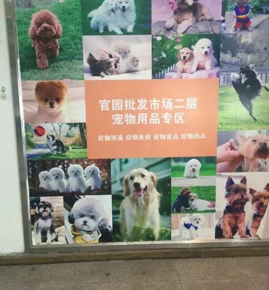 ����û�ˡ��������ˣ�������Щ�����г���ʣ������