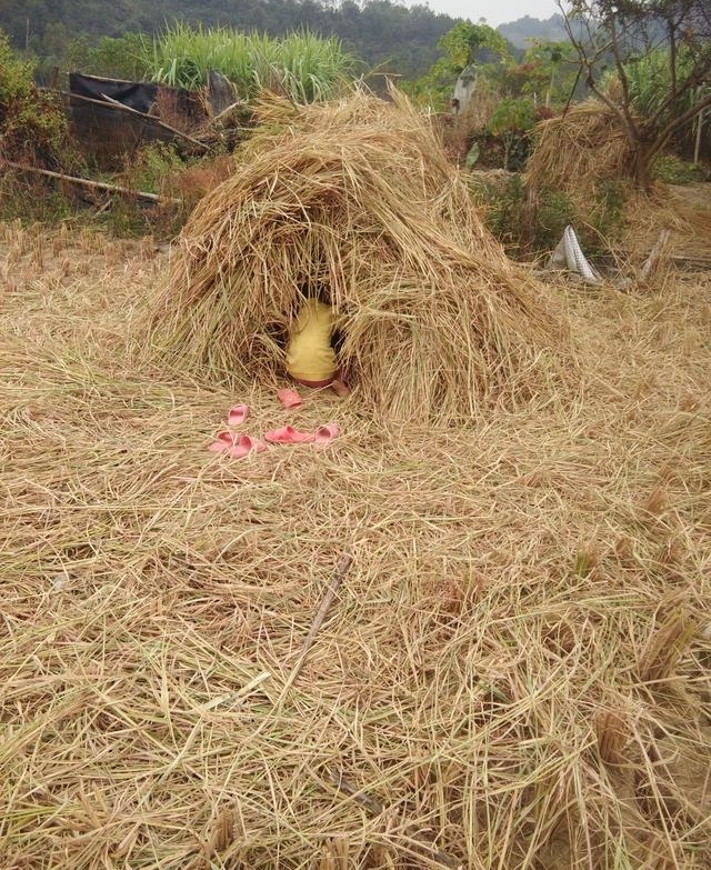 ũ��ĺ����ӵ��ˣ������