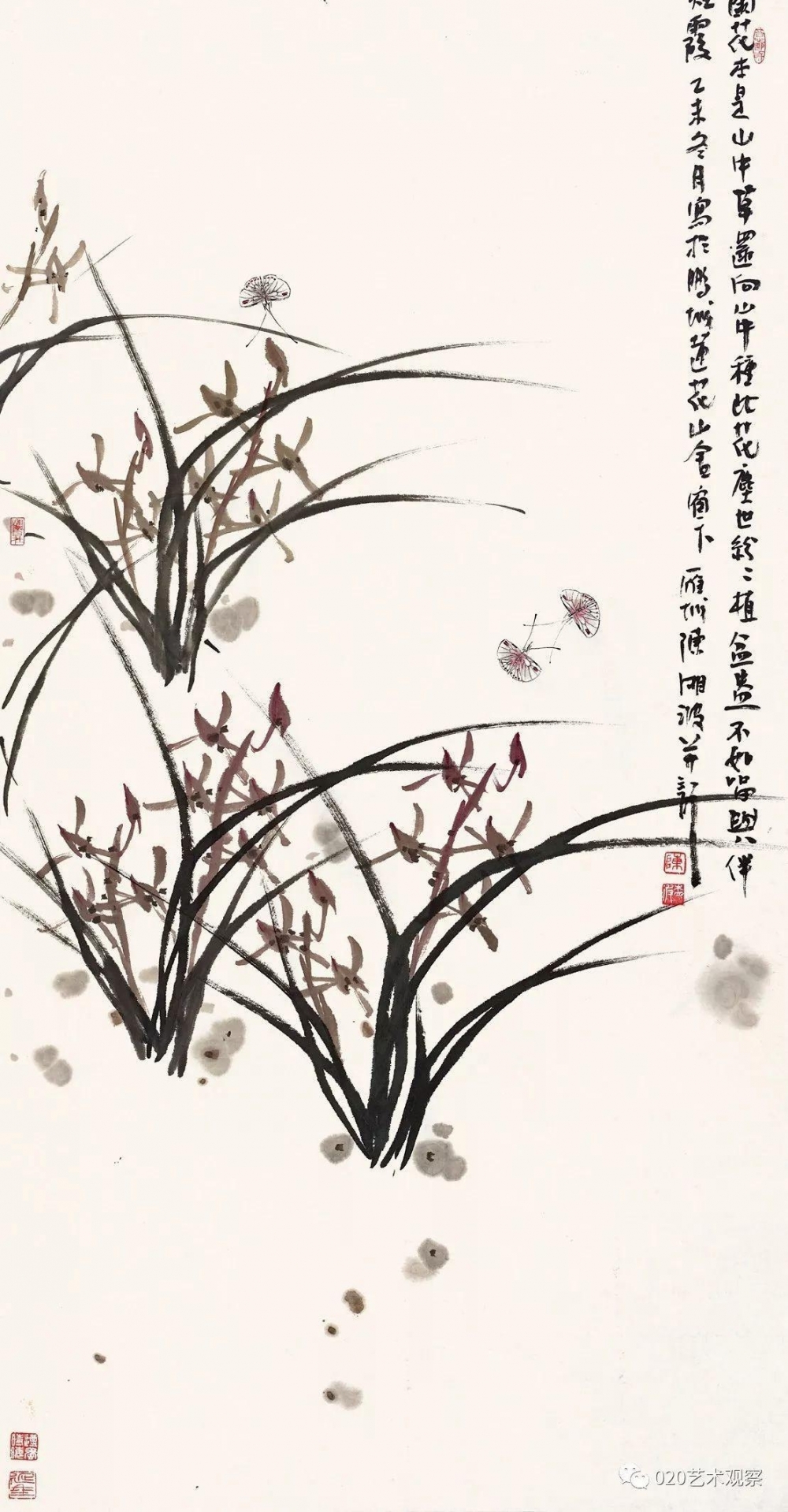 ���������沨֮��