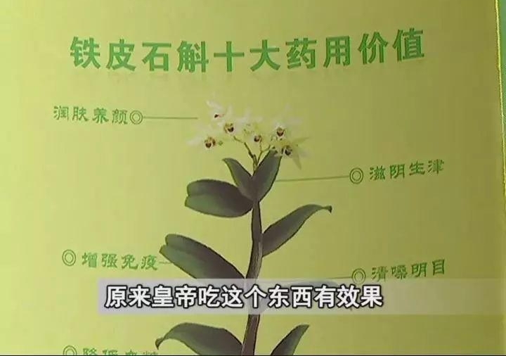 ��������һ�š��������Ż���ͷ�����������������Σ�ǰǰ��󾹱�ƭ��31��Ԫ