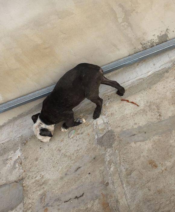 ����׬���ˣ��������ٿ�Ǯ������ϡ�е���èȮ���ھ�ȴ����������