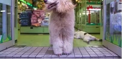 ũ�崴ҵ�����������ô��׬Ǯ����ǧ���������ô�ɣ�