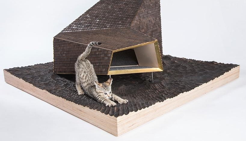 洛杉矶顶尖建筑师为流浪猫打造时髦户外猫屋