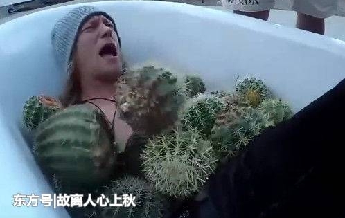 男子脱衣服躺进浴缸,作死用仙人球泡澡,让人看着就酸痛