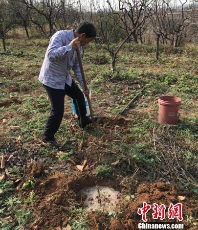 “河北好人”杨子时开垦荒山二十年 荒山变“金山”