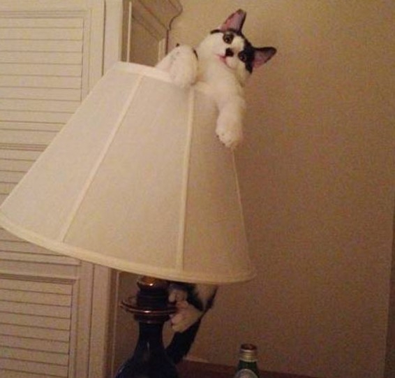 ˱Ц