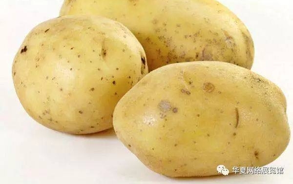 全国特产博览——呼和浩特