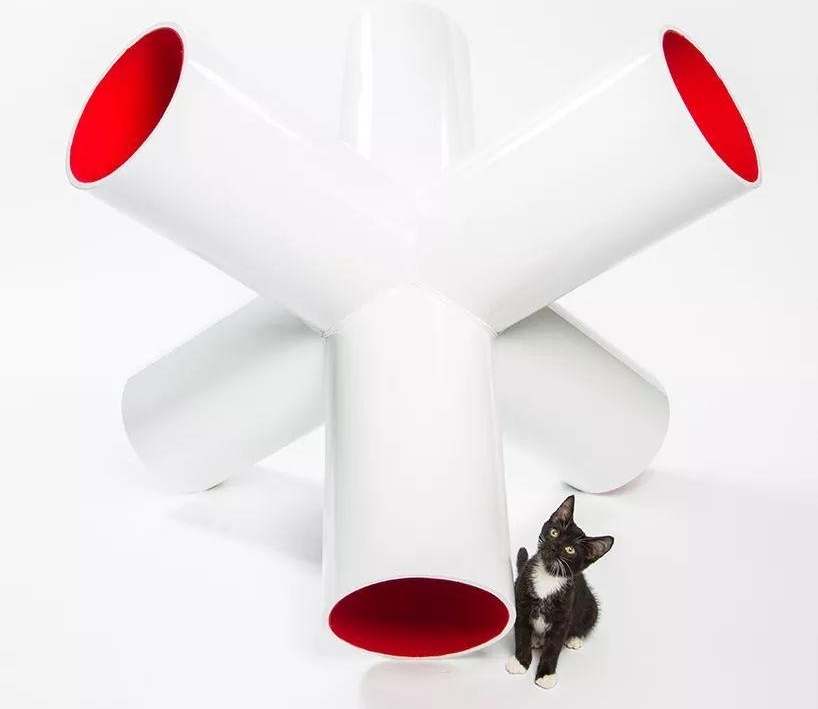 洛杉矶顶尖建筑师为流浪猫打造时髦户外猫屋