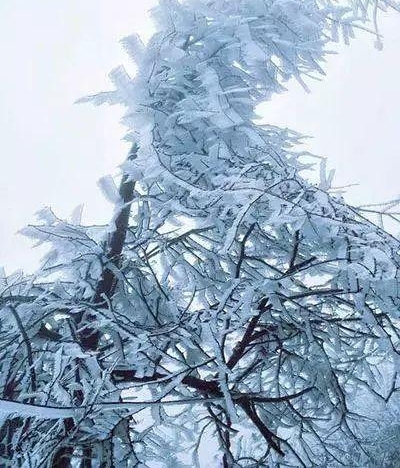 �£�ѩ���ˣ���������׽�ѩ��������ȫ���磡