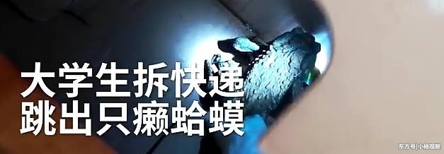 ��ѧ�����ݣ�����ֻ��󡣬���ң������ܾ��ˡ�