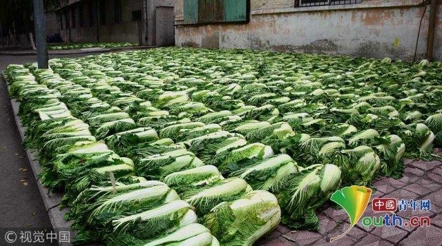 ��˵�⾰��ֻ�ж������У�����������