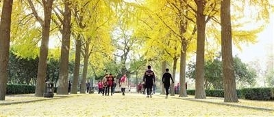 ѩ����·�ϣ���ҹ���ϴ󲿵�����ӭСѩ�����ѩ