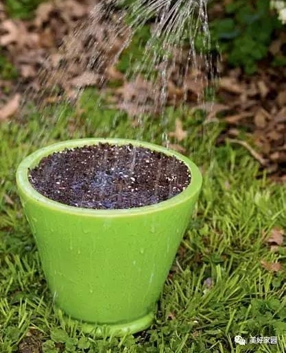Ϊ���ض�����Ҷ�ӡ�����Ҷ��
