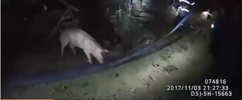 �������ų��������ȶ��� �����Ϲ������Լ���������