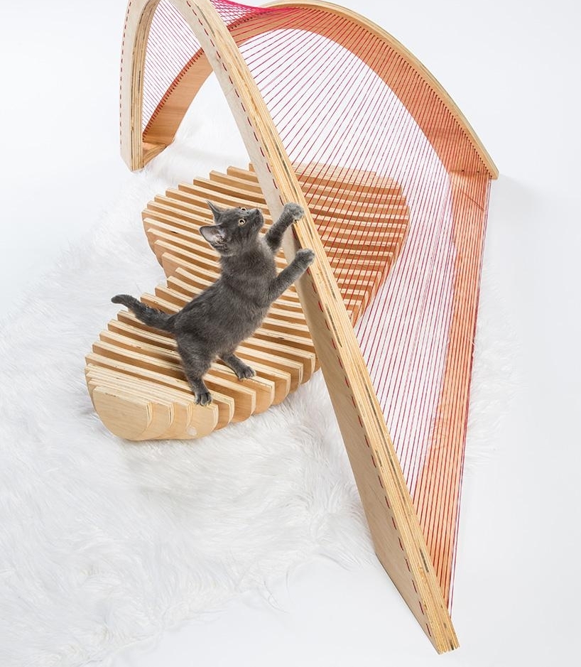 洛杉矶顶尖建筑师为流浪猫打造时髦户外猫屋