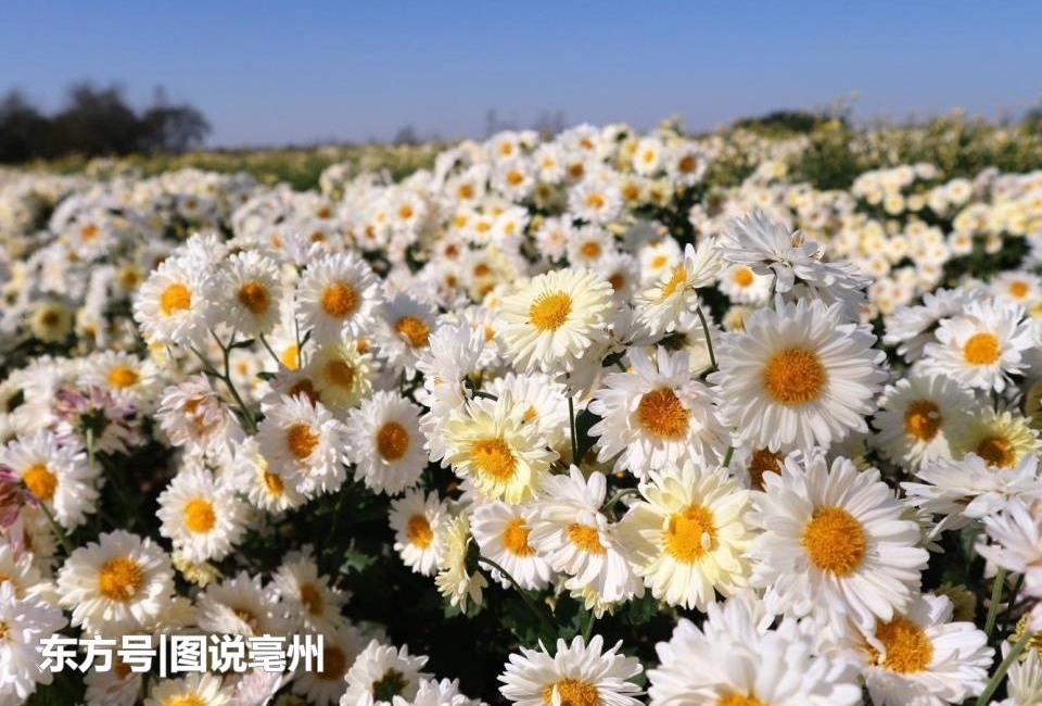ũ���ժ�ջ�ʮ�ַ�æ 80������˸ɻ� ��Ȼ��Ҫ��ǮΪ��ɶ��