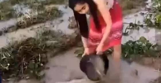 ��Ůũ�����������, ��һ�̷���������, ȴ��·�˶�������