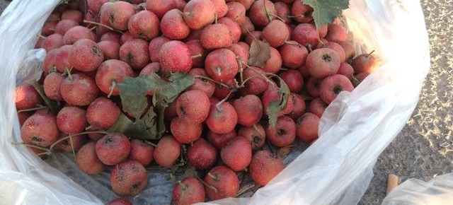 �������ϵ�һ������С���У����������ֵİ�
