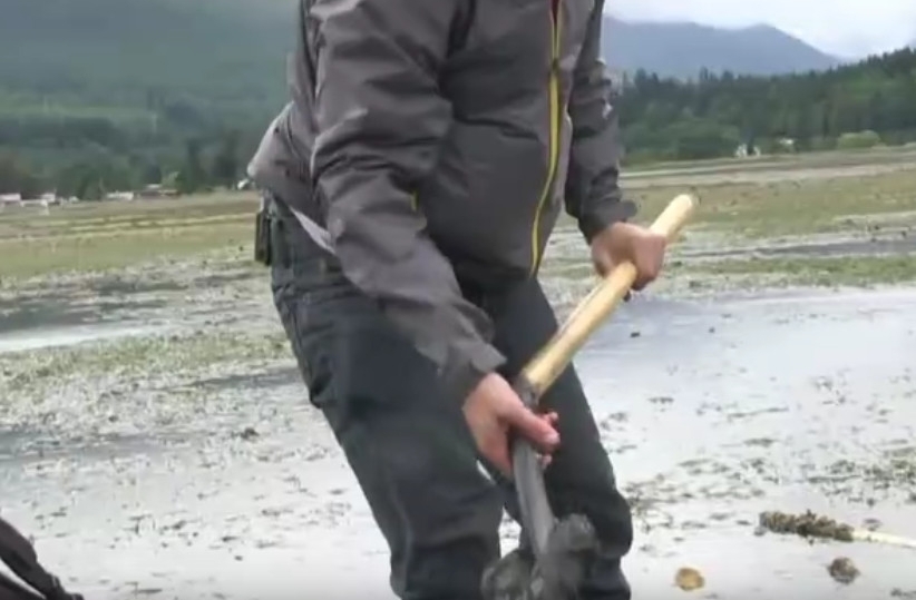 ���Ӻ�̲���ڱ��������¶����ڶ��ˣ������ջ�ϡ�к�ζ