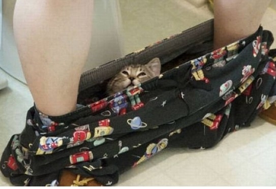 ˱Ц