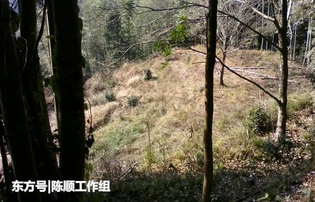 当年彭德怀湘赣山区旧居,如今已经是一片平地