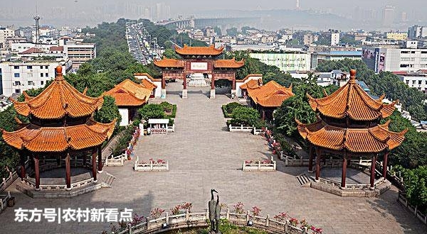 �Դ��人��������Ľ�Ѿã������人����Щ����ĵط��أ�