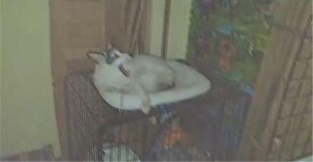����С���ꡰ��ҳ��ߡ� ʰ���߲�����Ҫ����л�ѡ�����ʱ���Է��ı�
