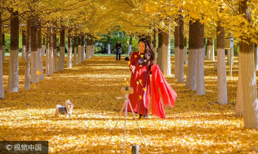��������Ȫɽ��������ӭ����ѹ�����