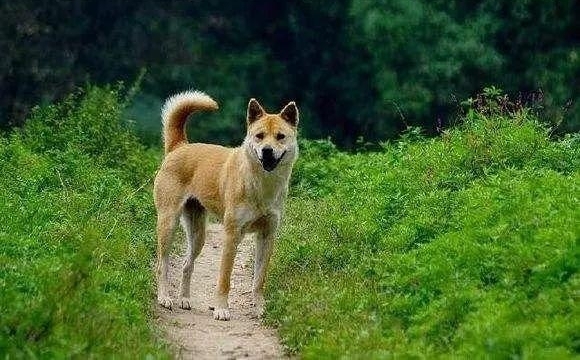 ����ũ����������10�䣡�ϱ���˵�Ļ�����