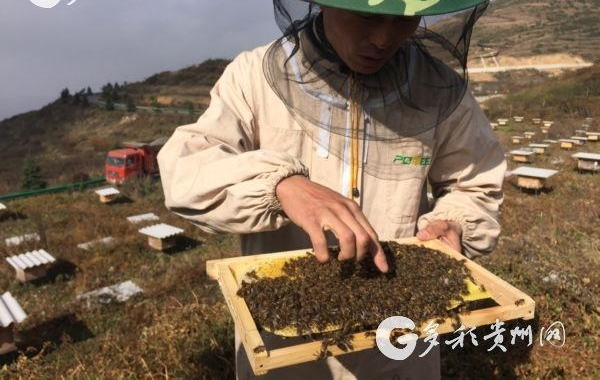 ˮк´巢չɽɫ۷ֳ ߳ۡƶ·