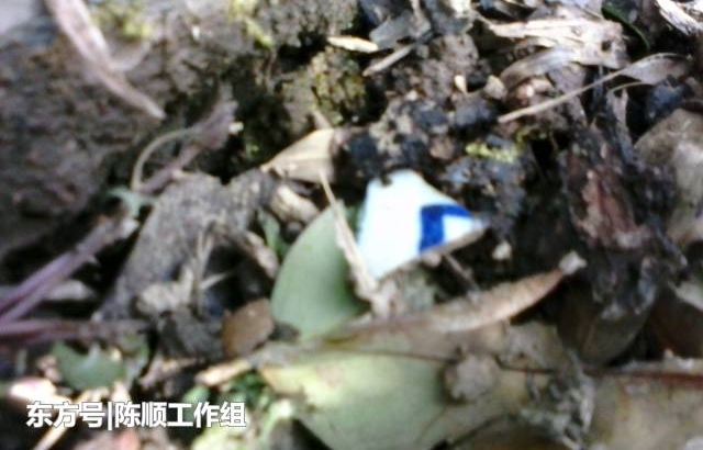 当年彭德怀湘赣山区旧居,如今已经是一片平地
