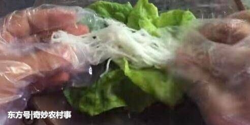 ũ�����ŵ��ְ�̯��С�ԣ�����Ƥ������Ҷ����һ����׬1000��