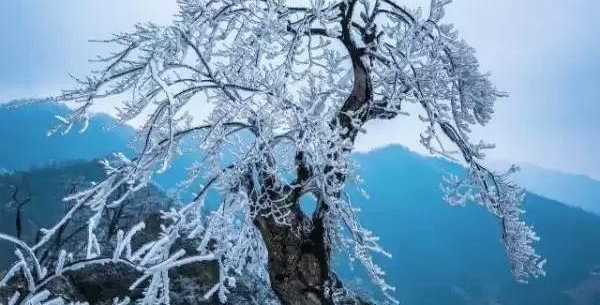 �£�ѩ���ˣ���������׽�ѩ��������ȫ���磡