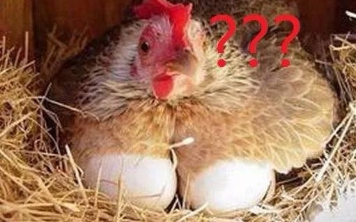 ������Сʱ�򶼱���Щ��ƭ�����㻹�ǵö��٣�