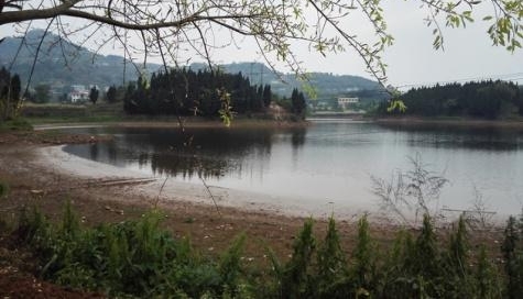 �к�����8ͬ�鱻���� ��Ժ��δ��ˮ�������߲�����