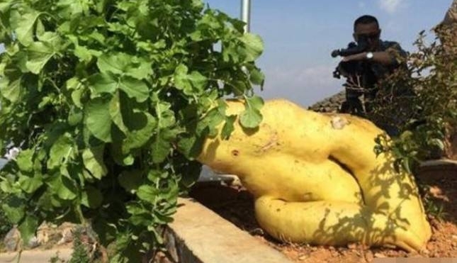 ũ�������﷢�֡�˯���ˡ������⣬���˱���������