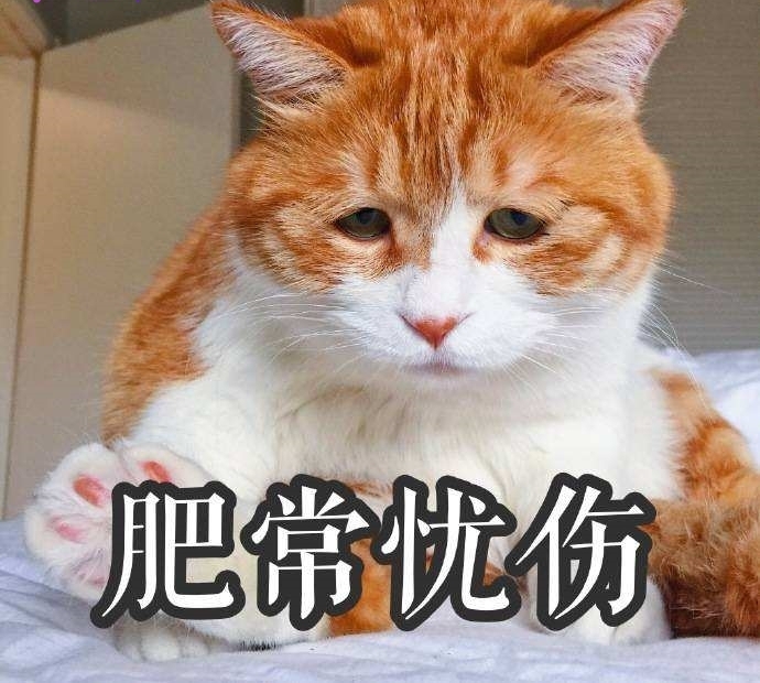 向女装大佬低头 男子扮女装闯女浴室 身材魁梧声音粗犷被识破