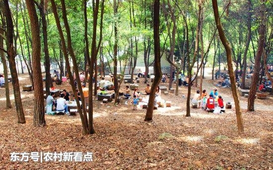 �Դ��人��������Ľ�Ѿã������人����Щ����ĵط��أ�