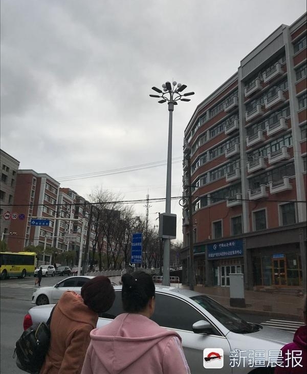 ��³ľ����������·��������Ŀ�깤��������������������������
