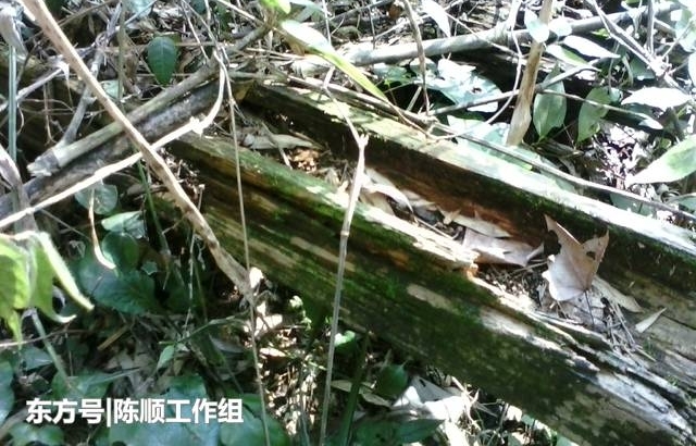 当年彭德怀湘赣山区旧居,如今已经是一片平地