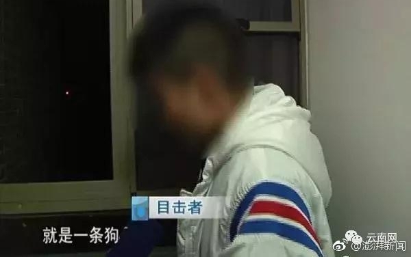 ����һС���������߿��׹���������ֻ̩��Ȯʬ�壬��������